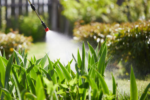 24/7 Emergency Wasp Removal experts in Kenton, OH