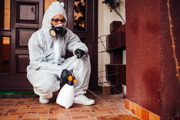 Reliable Wasp Removal contractor in Kenton, OH by Show Me Pest Control